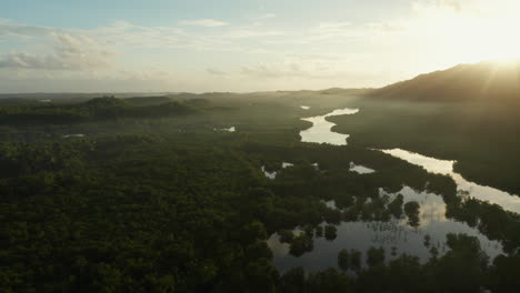 aerial showing sunrise above palmtrees and water with morning dew on siargao island, philippines.