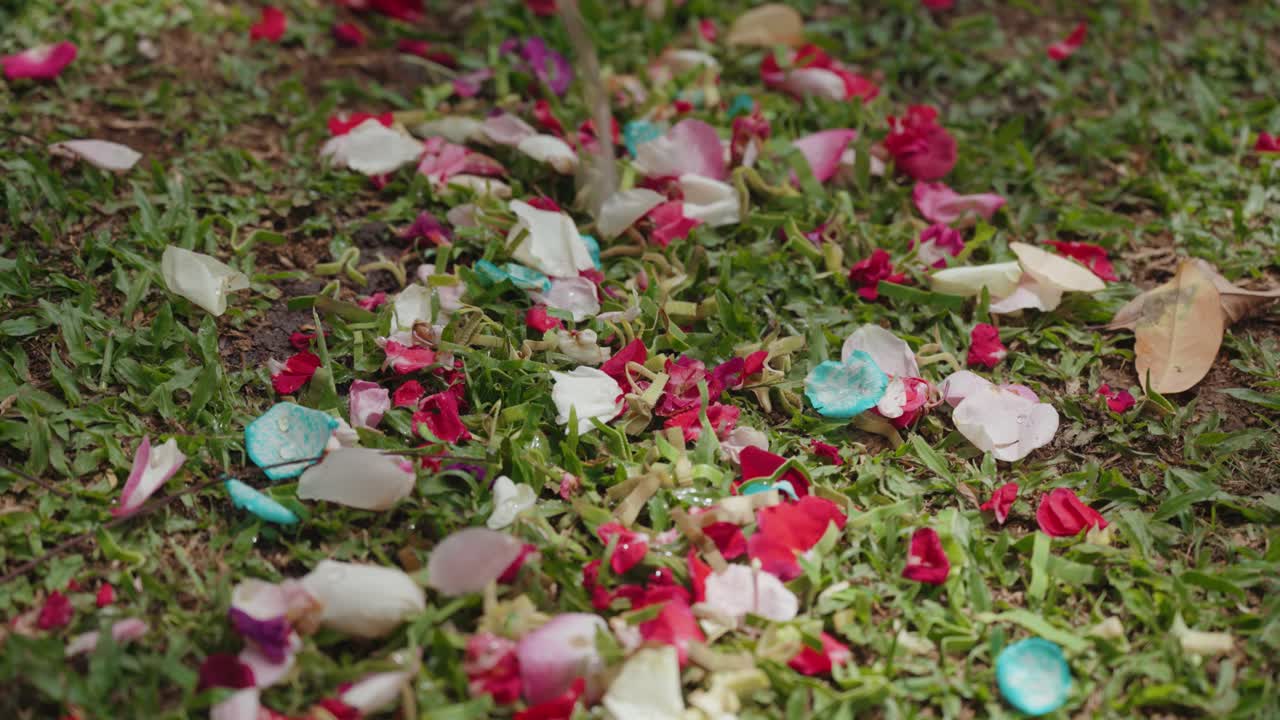 Água Jorra sobre Pétalas de Flores Coloridas Espalhadas na Grama Verde