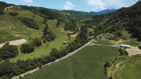 Imágenes-Aéreas-Del-Camino-A-Los-Soldados-De-La-Montaña-Sebold-En-La-Ciudad-De-Alfredo-Wagner---Santa-Catarina---Sur-De-Brasil