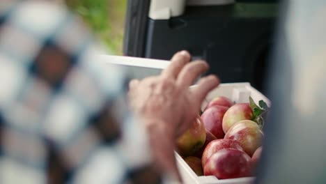 handheld view of farmer using technology on the farm