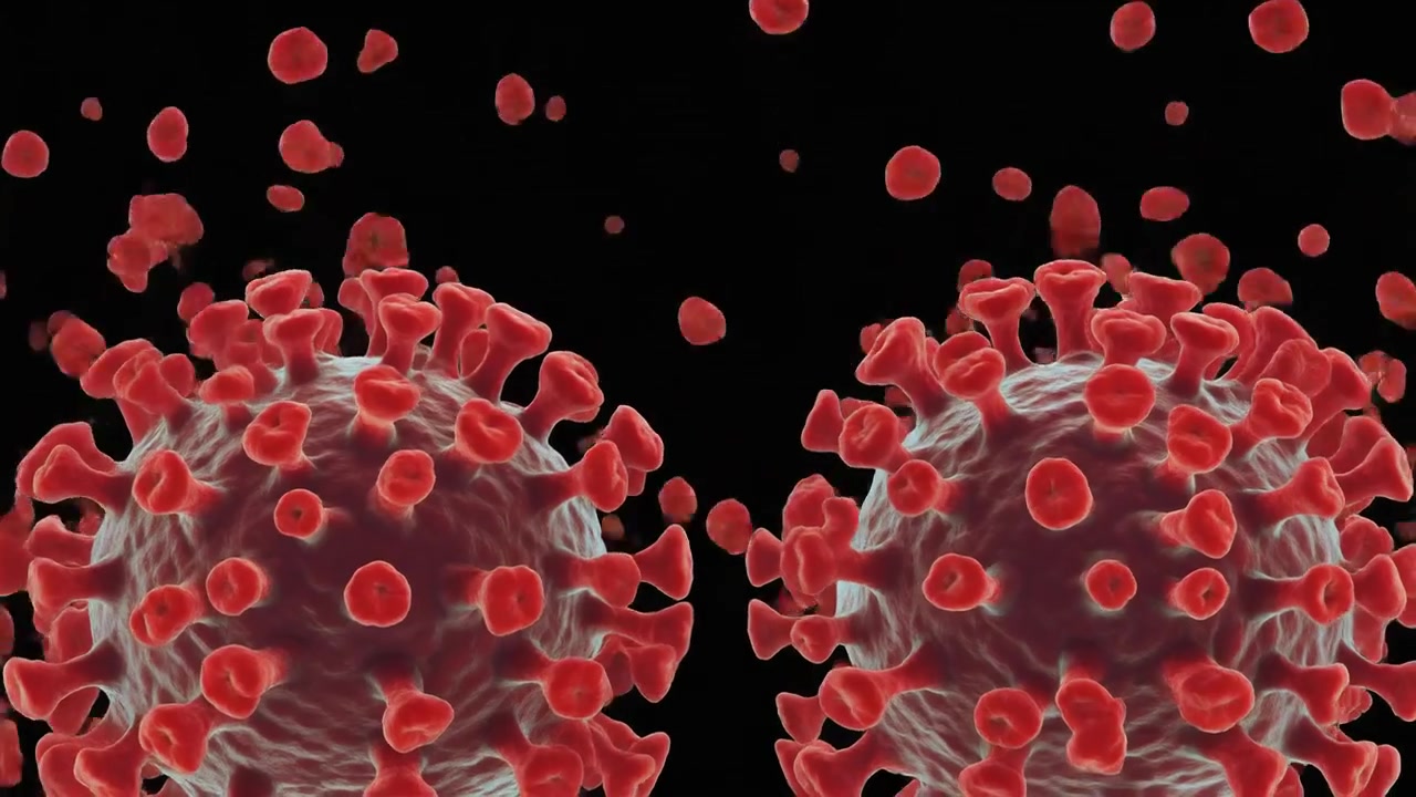3D Animation of Coronavirus Cells Releasing Viral Particles