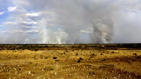 smoke pollutes the skies above the brazilian pantanal as deforestation fires destroy nature's balance - aerial push forward view