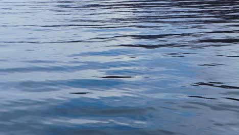 water of varenna the italian lakes hide a mystery for the tourists that when we come here become the italian tourist dream of a new europe.