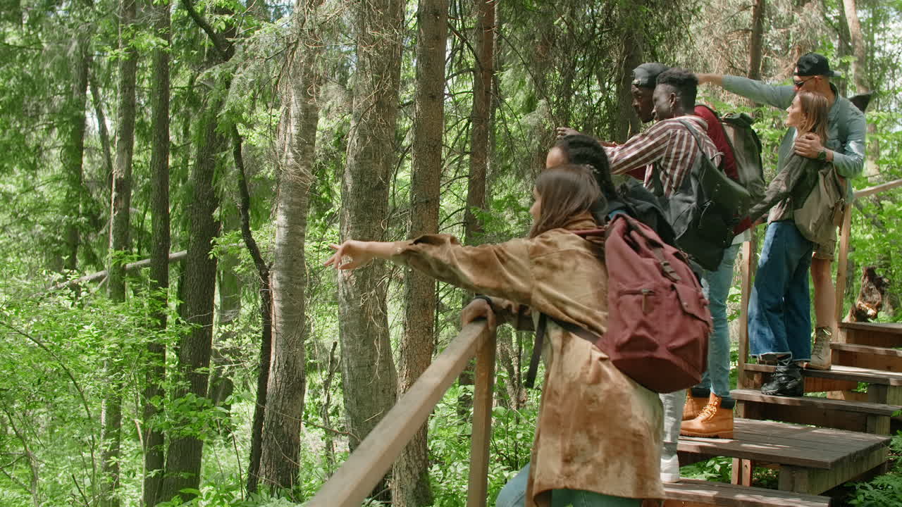 amigos haciendo senderismo en un bosque.