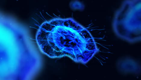 microscopic cells in blue