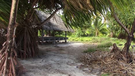 small wooden hut raised above the ground on fanning island, republic of kiribati