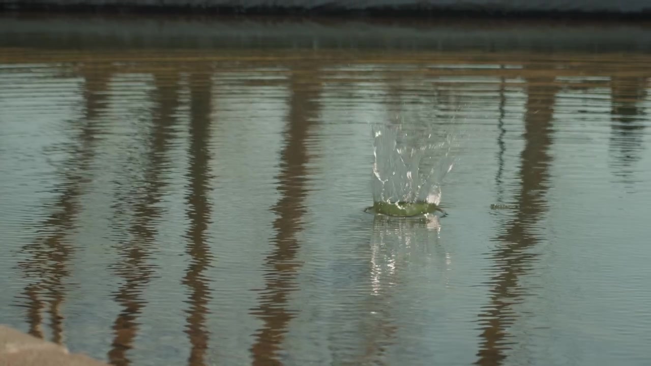 Close up of water surface with gentle ripples and reflections. Small splashes create circular patterns indicating movement beneath calm liquid. Reflections show vertical structures