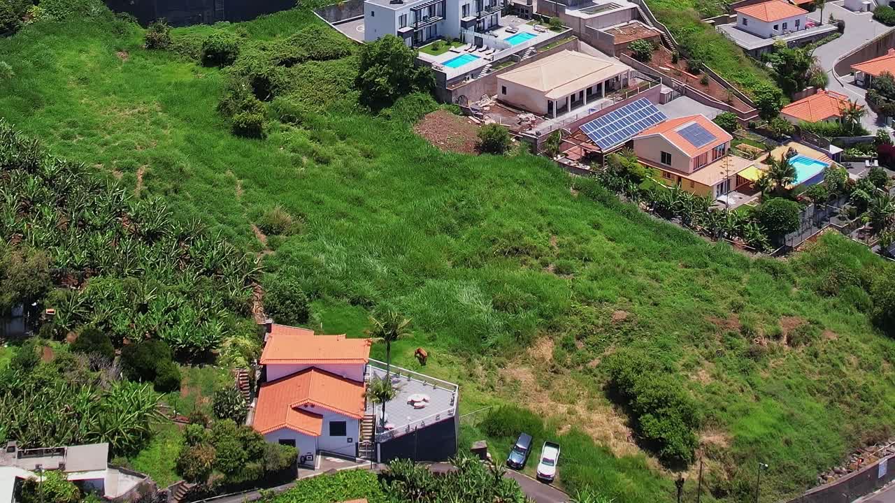 Aerial view of modern villas in Madeira, Portugal