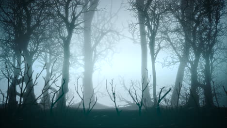 Mystischer-Horrorhintergrund-Mit-Dunkelblauem-Wald-Und-Abstraktem-Nebelhintergrund