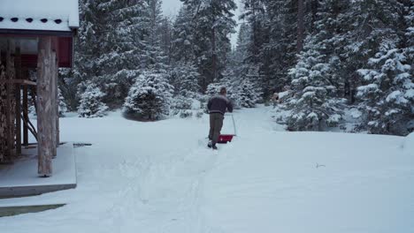 countryside landscape covered with thick snow, man with sled shovel chase by his pet dog in trondheim, norway