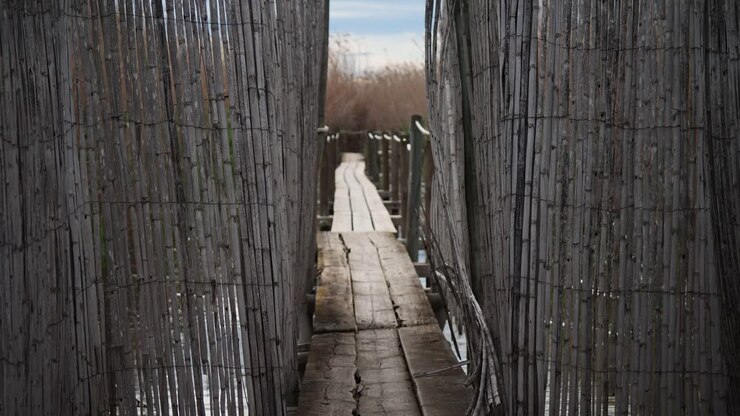 Wooden walkway of a bird observatory in El Hondo, Elche, Spain