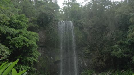 view of millaa millaa falls with lush rainforest on a cloudy day in queensland, australia - tilt up shot