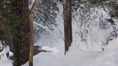 Cinematic-shot-of-a-Hoggs-waterfall-flowing-down-the-rocks-inside-nature-preserved-forest-area-covered-with-fresh-snow,-Ontario,-Canada