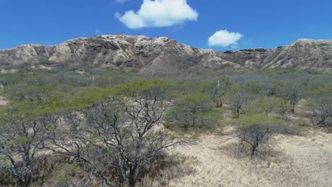 Aerial-ascending-view-revealing-natural-vegetation-scenery,-Blue-sky