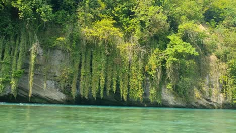 filmed from a boat on the aare river in thun, switzerland, passing rocky, plant-covered riverbanks amid a lush alpine landscape on a sunny summer day