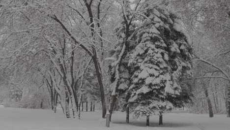 snowfall