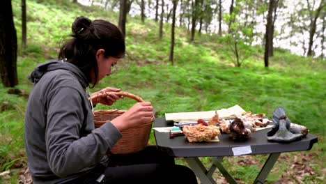 woman putting mushroom on table in forest with tent