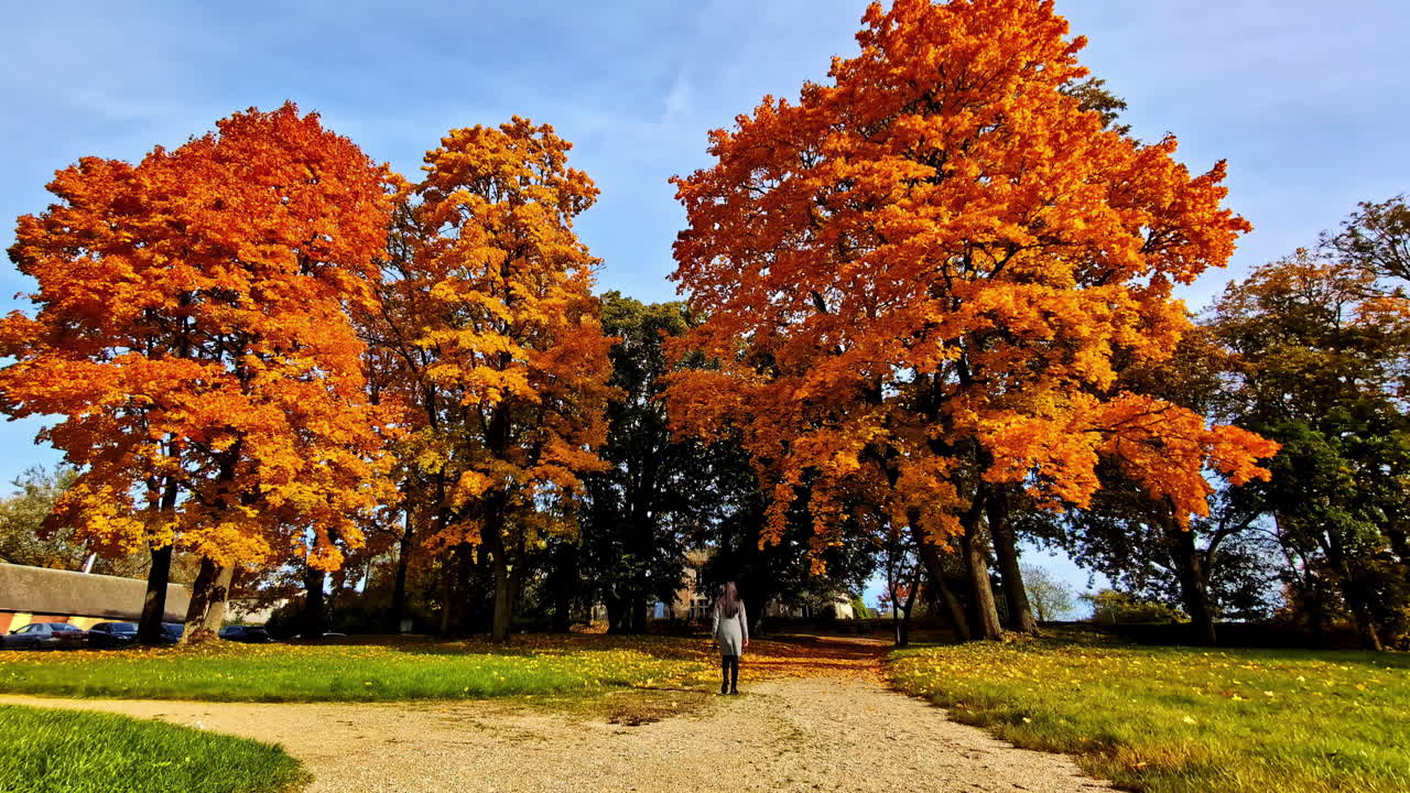 Autumn walk in Lielvarde, Latvia under vibrant orange trees