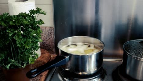 boiling potatoes for a dinner with parsley in the scene