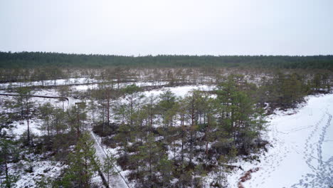 Blick-Auf-Das-Viru-Moor-Vom-Aussichtsturm-Im-Winter