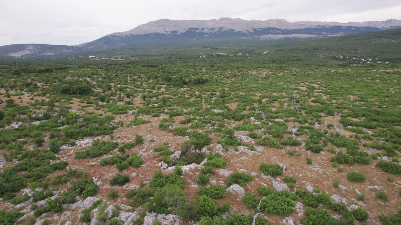 cueva en un hermoso campo con montaña en el fondo
