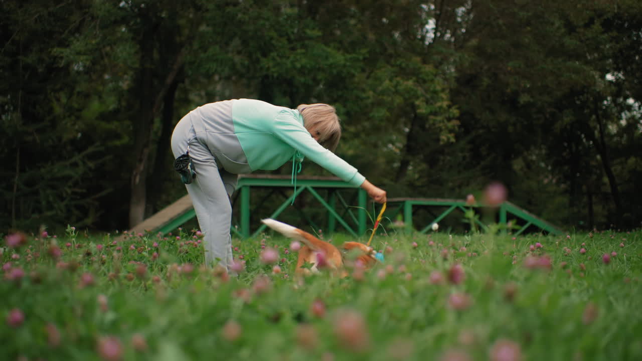 Beautiful lady in hood and sports trousers smiling while playing with pet dog on purple grass field, tossing ball in hand as excited pet joyfully catches it, surrounded by vibrant flowers