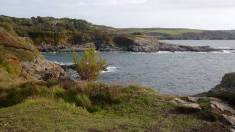 Weitwinkelaufnahme-Von-Bessys-Cove,-Den-Enys-In-Cornwall