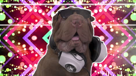 shar pei perro cachorro con auriculares con fondo blanco