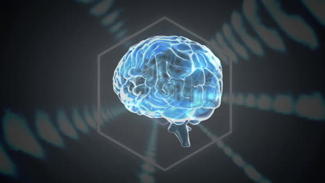 animación del cerebro sobre un fondo negro