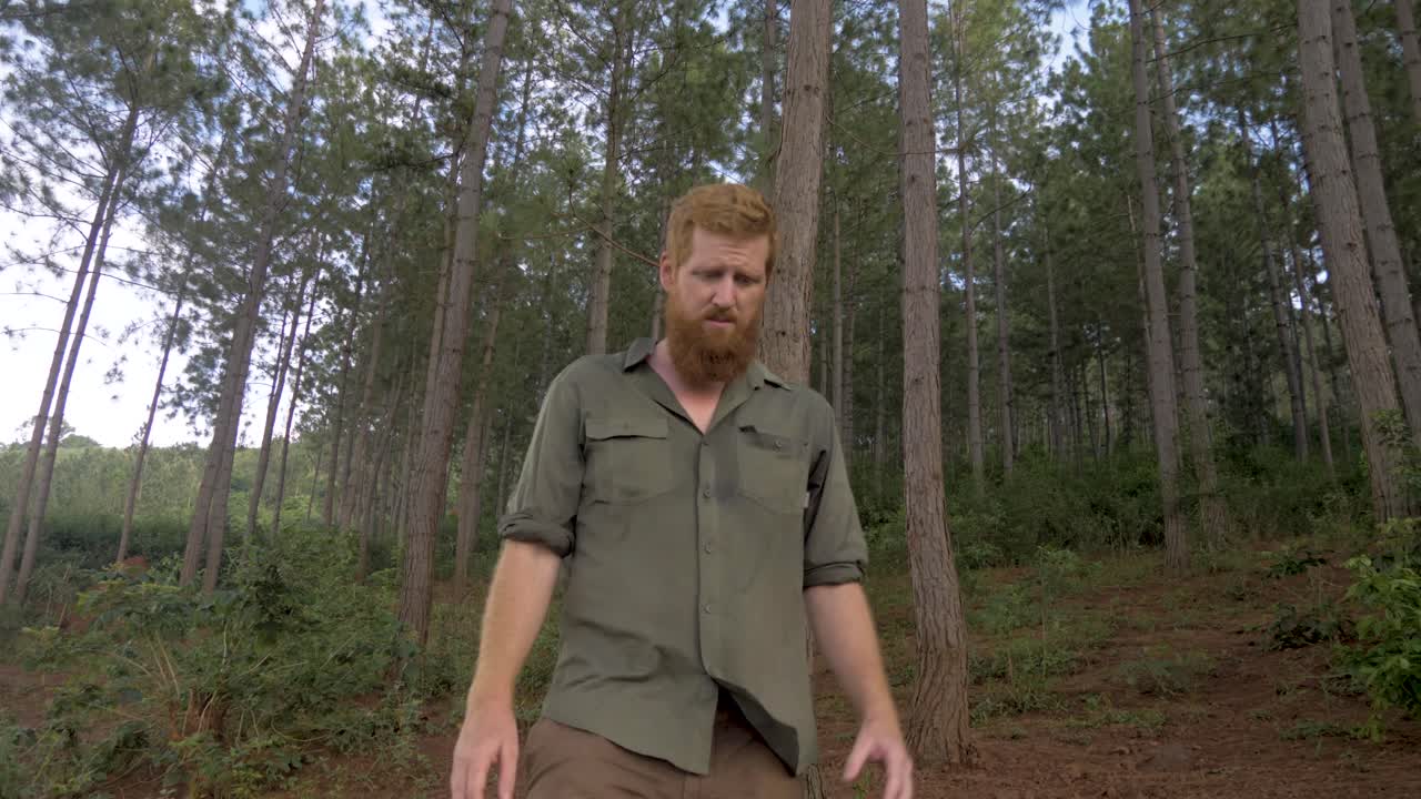 En slowmotion-optagelse af en skægklædt, rødhåret mand i det fri, der går gennem en fyrreskov og forbi kameraet