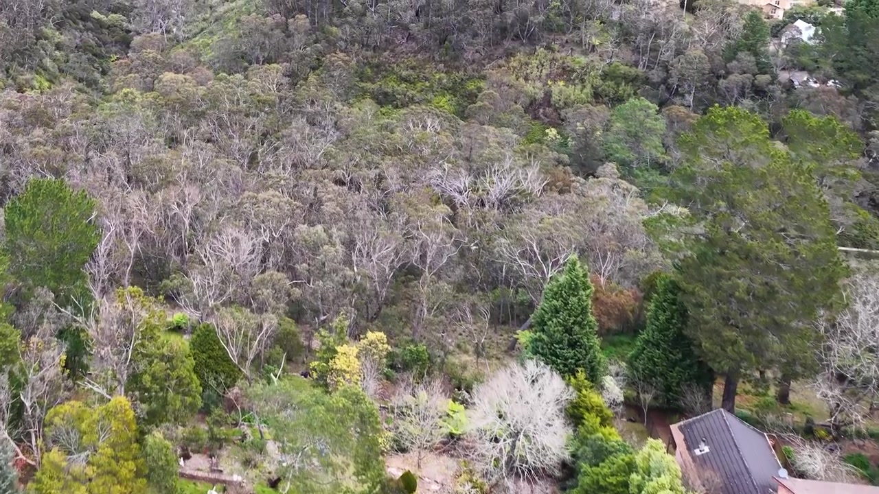 Vista Aerea di Case Residenziali al Confine con una Fitta Foresta