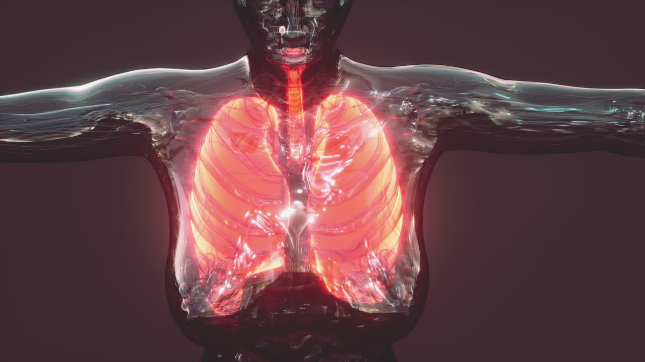 holograma de pulmones inflamados en el cuerpo humano