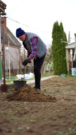 senior male farmer holds a young tree in his hand. gardener puts the tree into the pit and pour water from the bucket. vertical video.