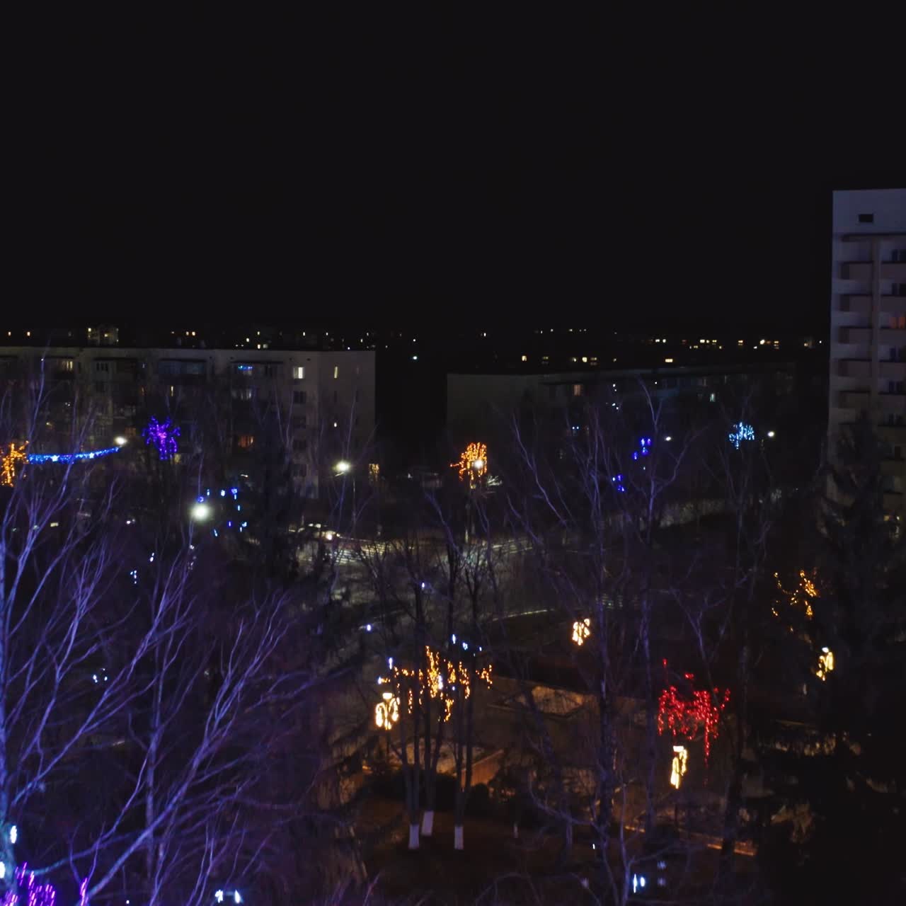 Christmas park at night