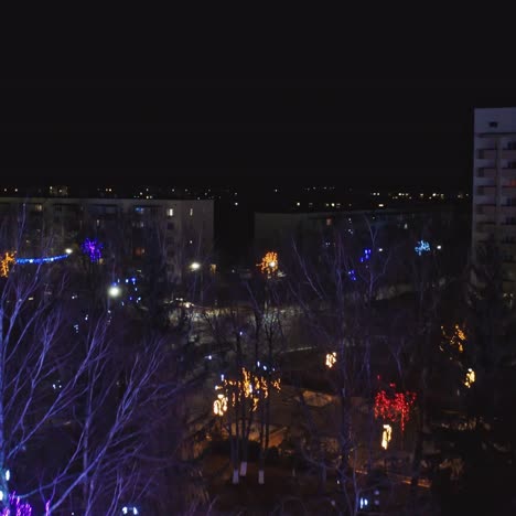 christmas park at night