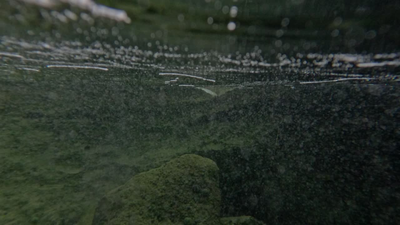 Transition from shoreline to underwater habitat
