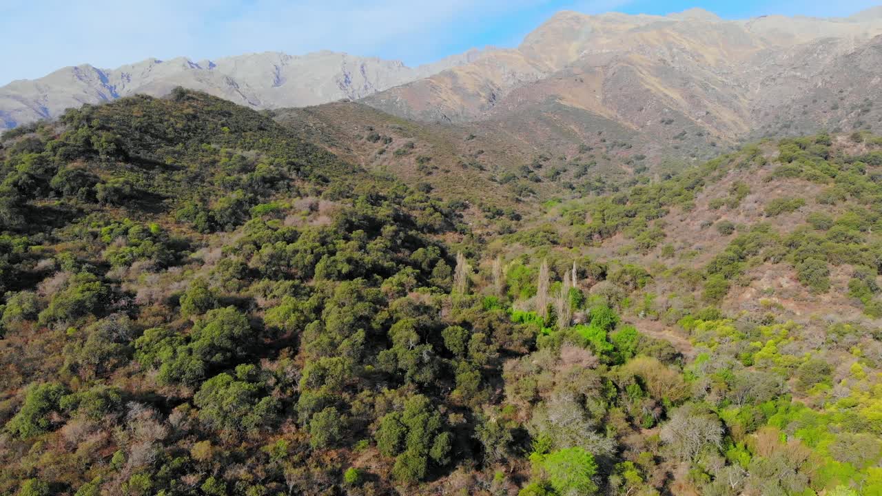 Aerial view of native molle forest in the Sierra de los los Comechingones, near Cerro Champaqui, . Cordoba province, Argentina