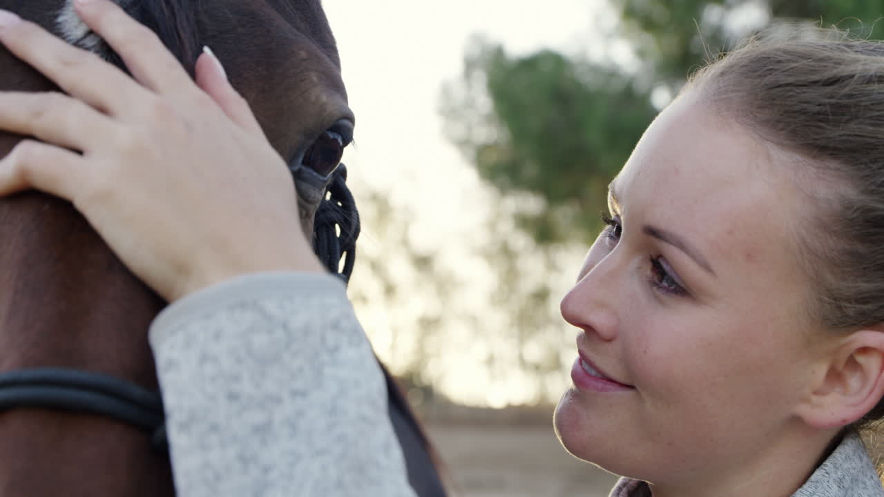 If you&rsquo;ve seen a horse, you&rsquo;ve seen an angel