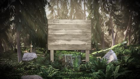 dawn in the woods with a noticeboard