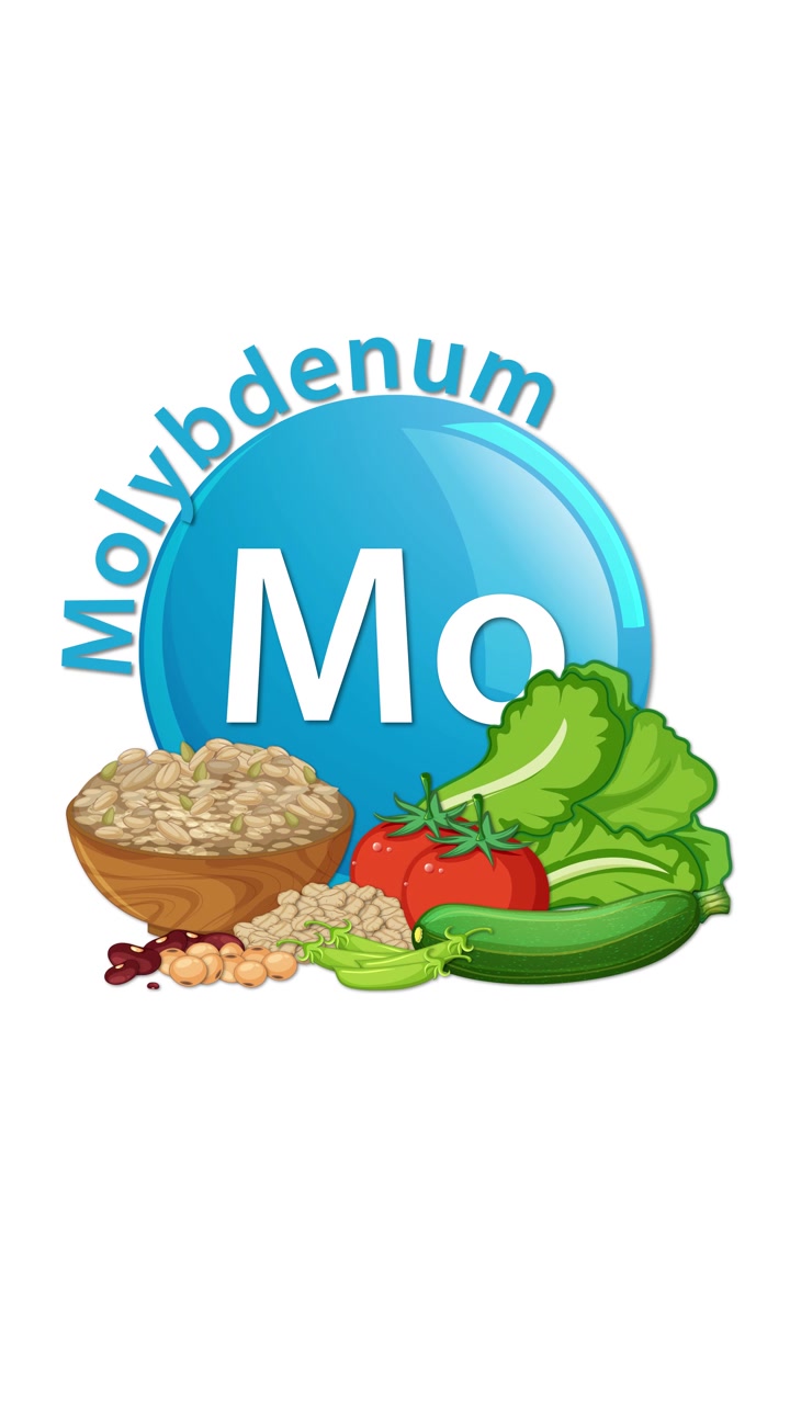 L'icona blu dell'elemento molibdeno si anima con testo e fonti alimentari illustrate come cereali, verdure a foglia verde, fagioli e ortaggi, utilizzando transizioni fluide e luminose.