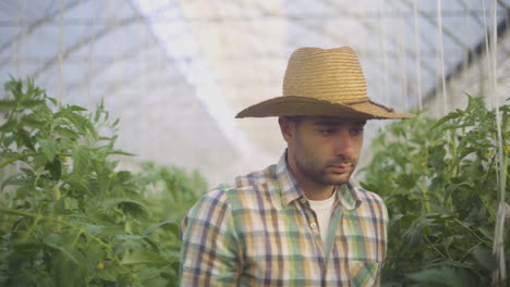 farmer in a greenhouse