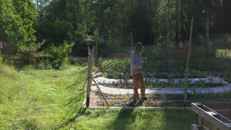 Lady-with-green-fingers-waters-vegetable-patch-surrounded-by-woods,-low-aerial