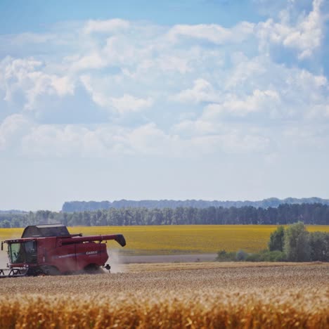 Country farming landscape
