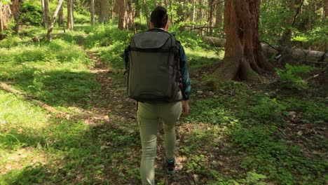 Hiking-woman-walk-with-a-hiking-backpack-in-spring-green-forest