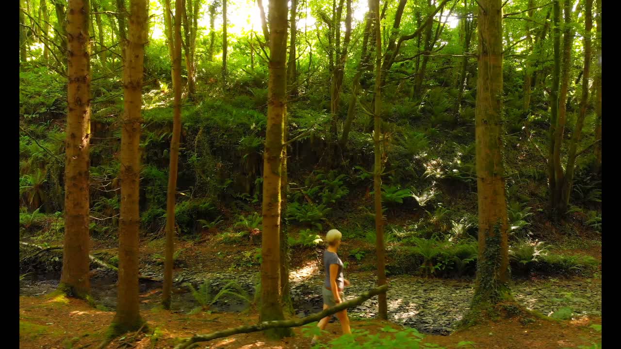 숲에서  ⁇ 고 있는 여자 4k