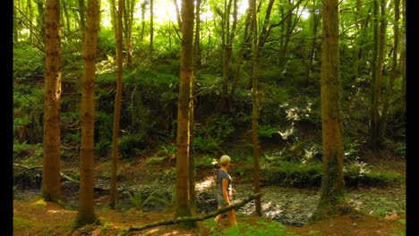 mujer caminando en el bosque 4k