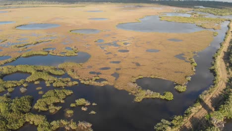 Moskitolagune-Indischer-Fluss-Sumpf-Süßwasser-Gras-Küste-Sonnenuntergang-Goldene-Stunde-Florida-Angeln-Bootfahren-Luftdrohne-Neigung-Drehen