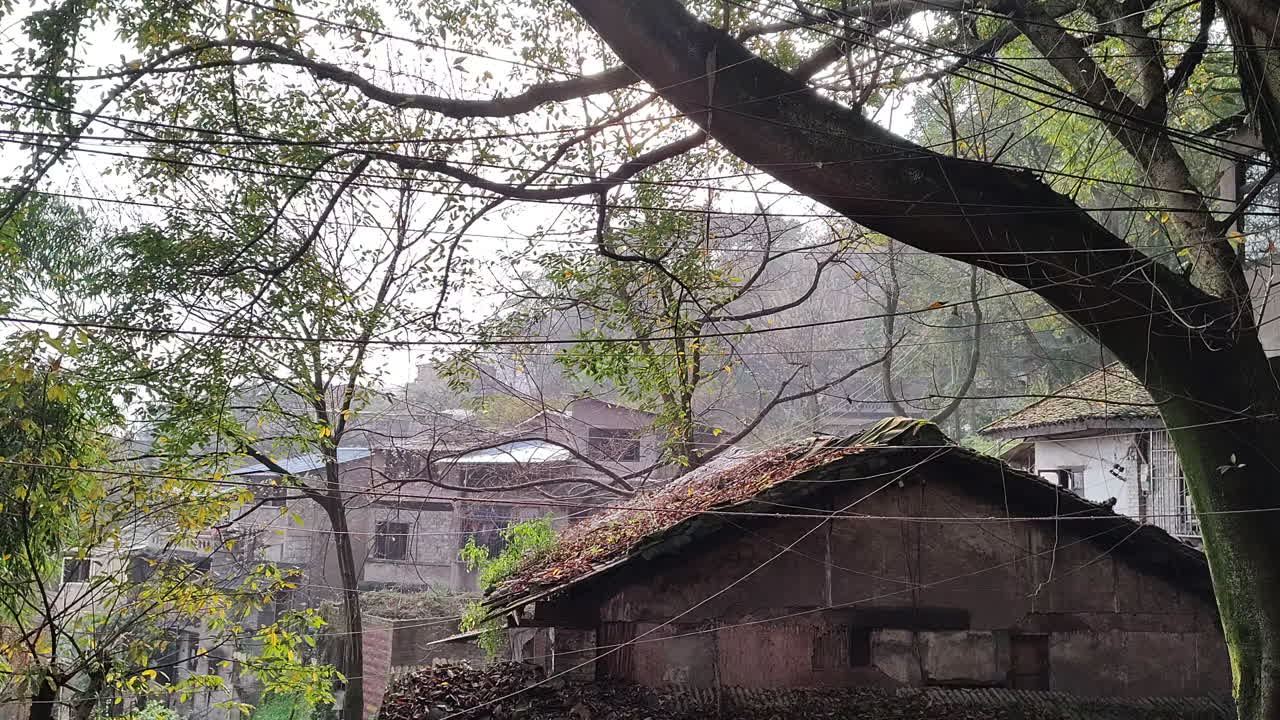 고대 마을은 계절이 바뀌고 나뭇잎은 끊임없이 떨어지고 있습니다