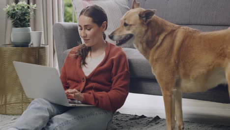 freelance blogger typing on laptop