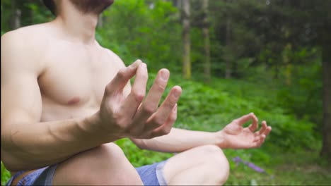 man doing yoga in greenery.